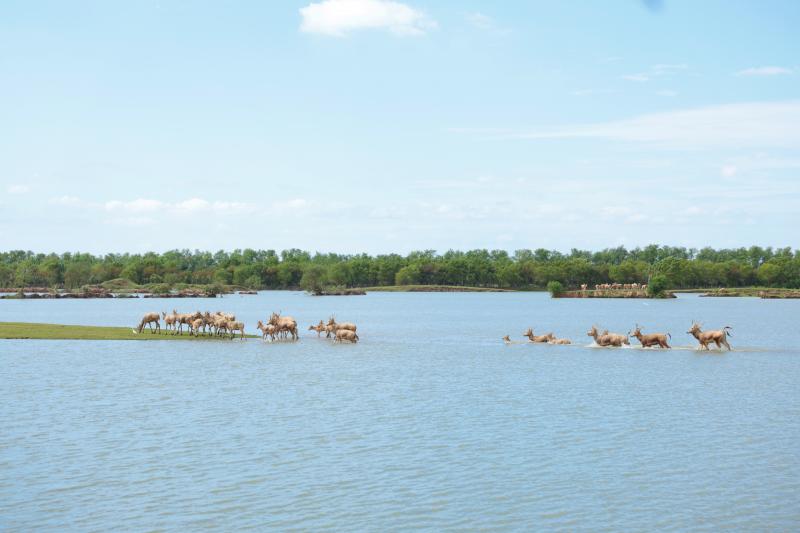 《新华日报》整版聚焦黄海金控集团：金融“活水”添绿意， “碳”路前行赢未来