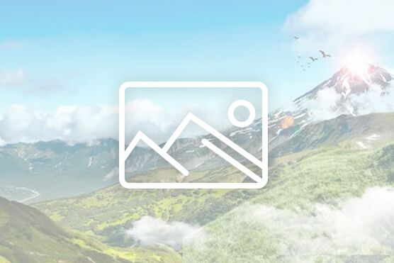 喜报！黄海资本连获多项权威榜单认可